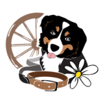 Diersen's Canine Country Club