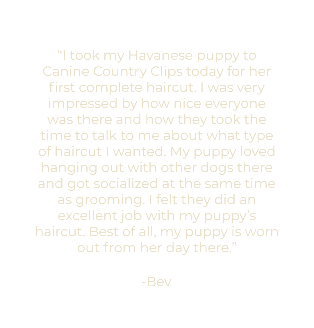 Mobile Testimonial - 1