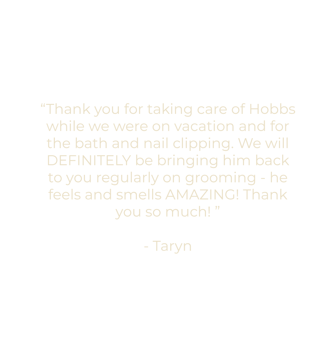 Mobile Testimonial - 4