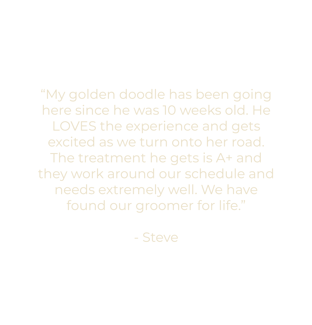 Mobile Testimonial - 5