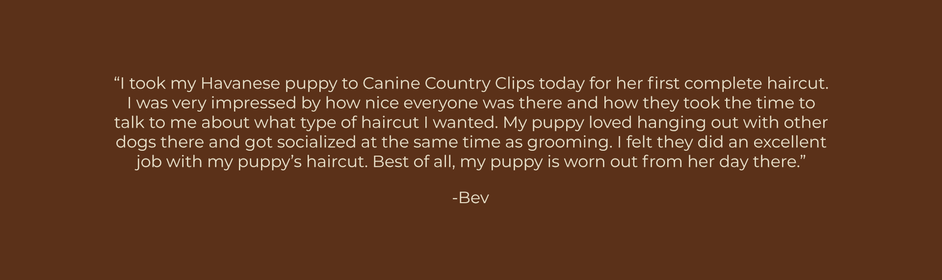 Testimonial 1